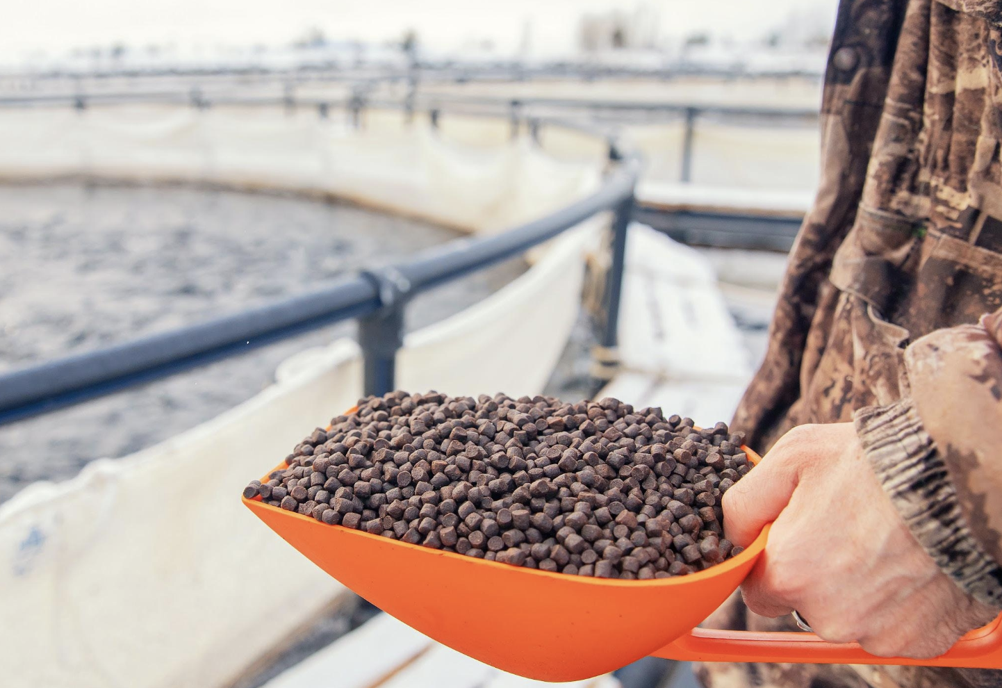 Fomentando la acuicultura sostenible: el papel crucial de la North American Renderers Association